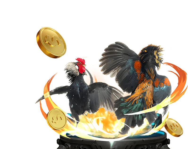 Hướng dẫn Casino trực tuyến RS88